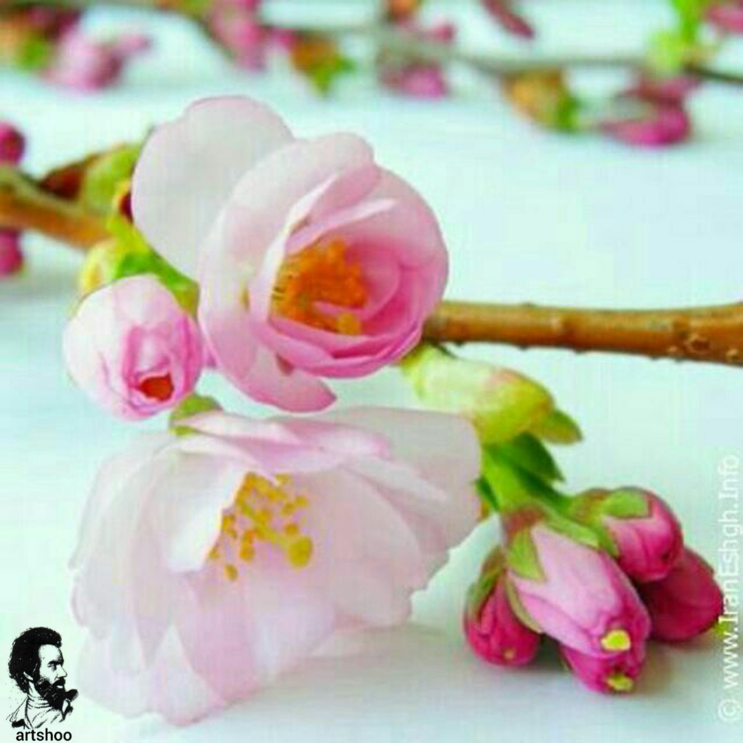 گل اورژینال رنگ روغن